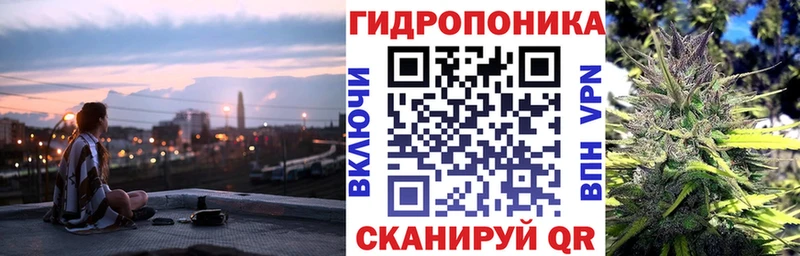 shop состав  Томилино  Каннабис планчик  цена  